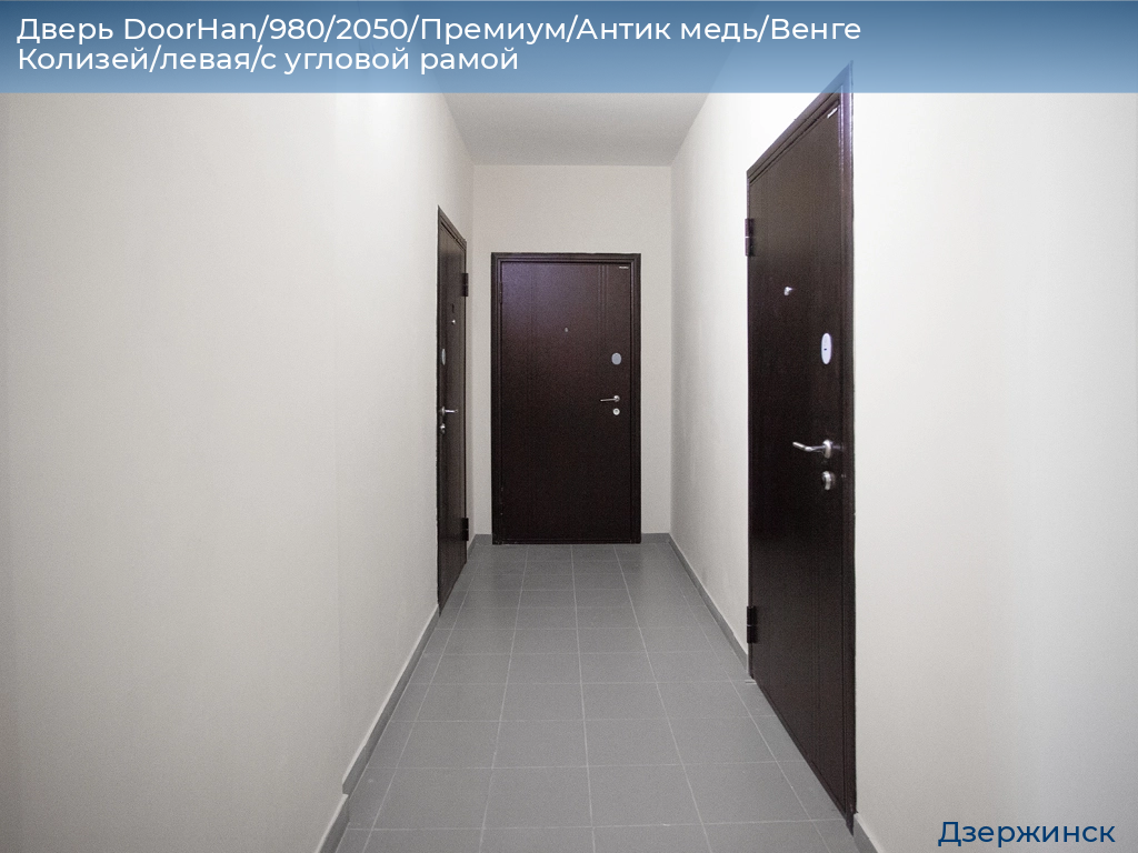 Дверь DoorHan/980/2050/Премиум/Антик медь/Венге Колизей/левая/с угловой рамой, dzerzhinsk.doorhan.ru